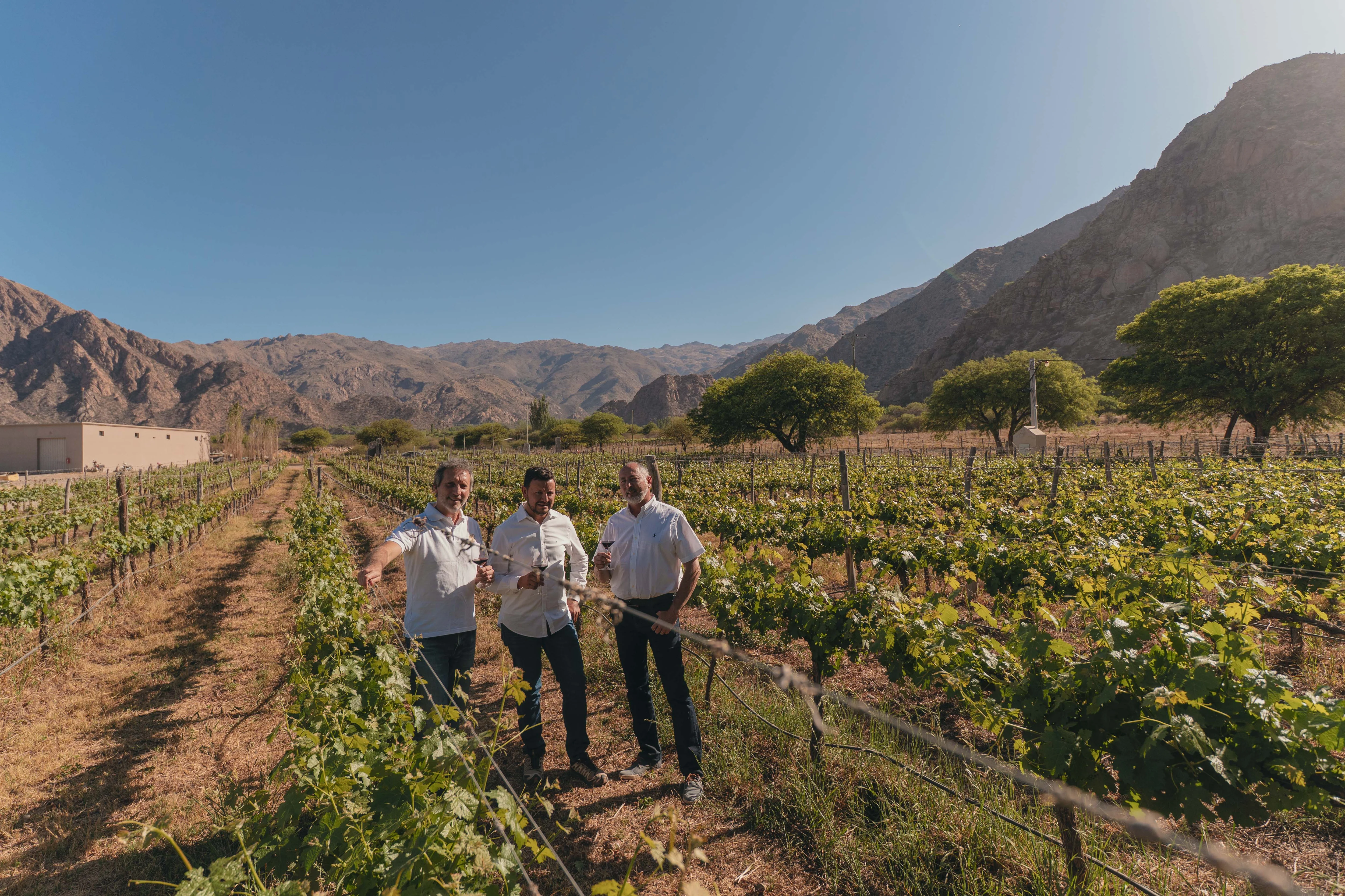 Køb vin direkte fra vinbonden
